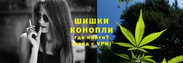 PSILOCYBIN Баксан