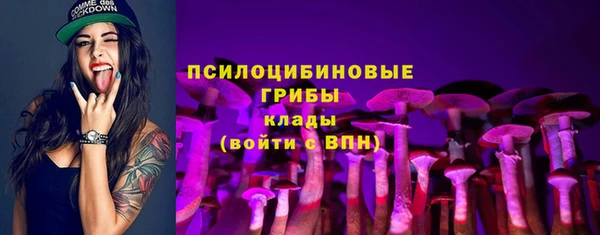 PSILOCYBIN Баксан