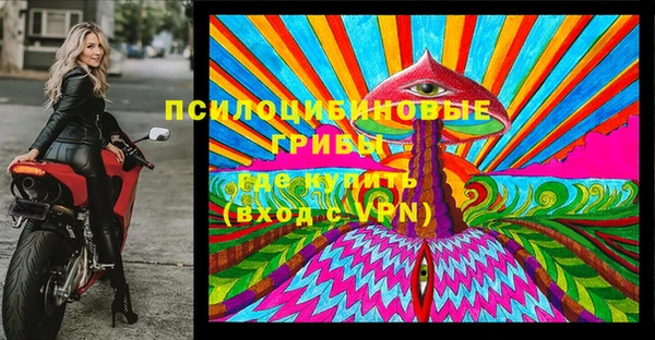 PSILOCYBIN Баксан