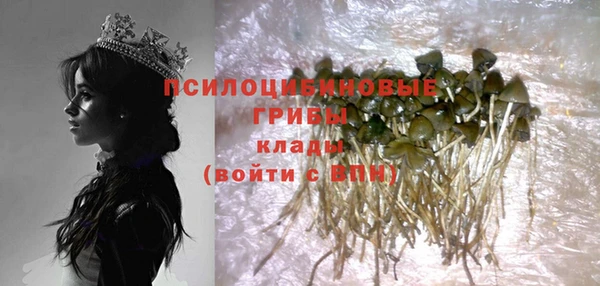 гидропоника Балахна