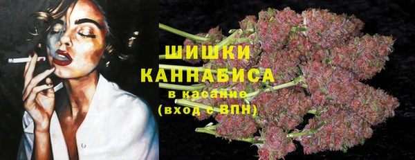PSILOCYBIN Баксан