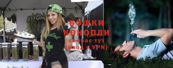 PSILOCYBIN Баксан